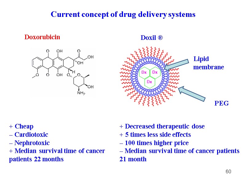 60 Current concept of drug delivery systems Lipid membrane PEG Doxorubicin Doxil ® 